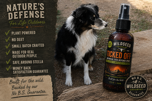 How To Remove A Tick Safely From People And Dogs