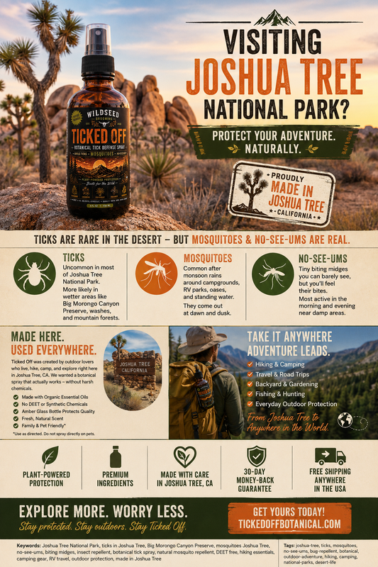 Visiting Joshua Tree National Park? Here’s What You Should Know About Ticks, Mosquitoes, and No-See-Ums