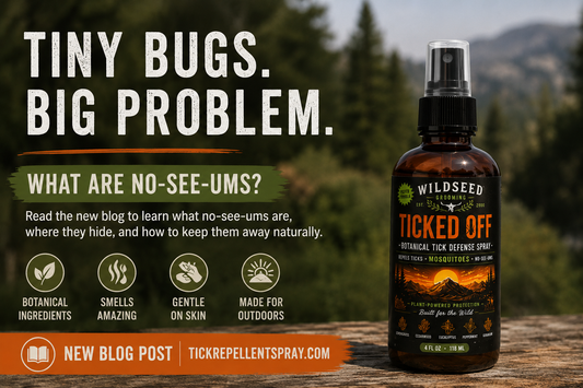 What Are No-See-Ums? The Tiny Bugs That Can Ruin Your Day Outdoors