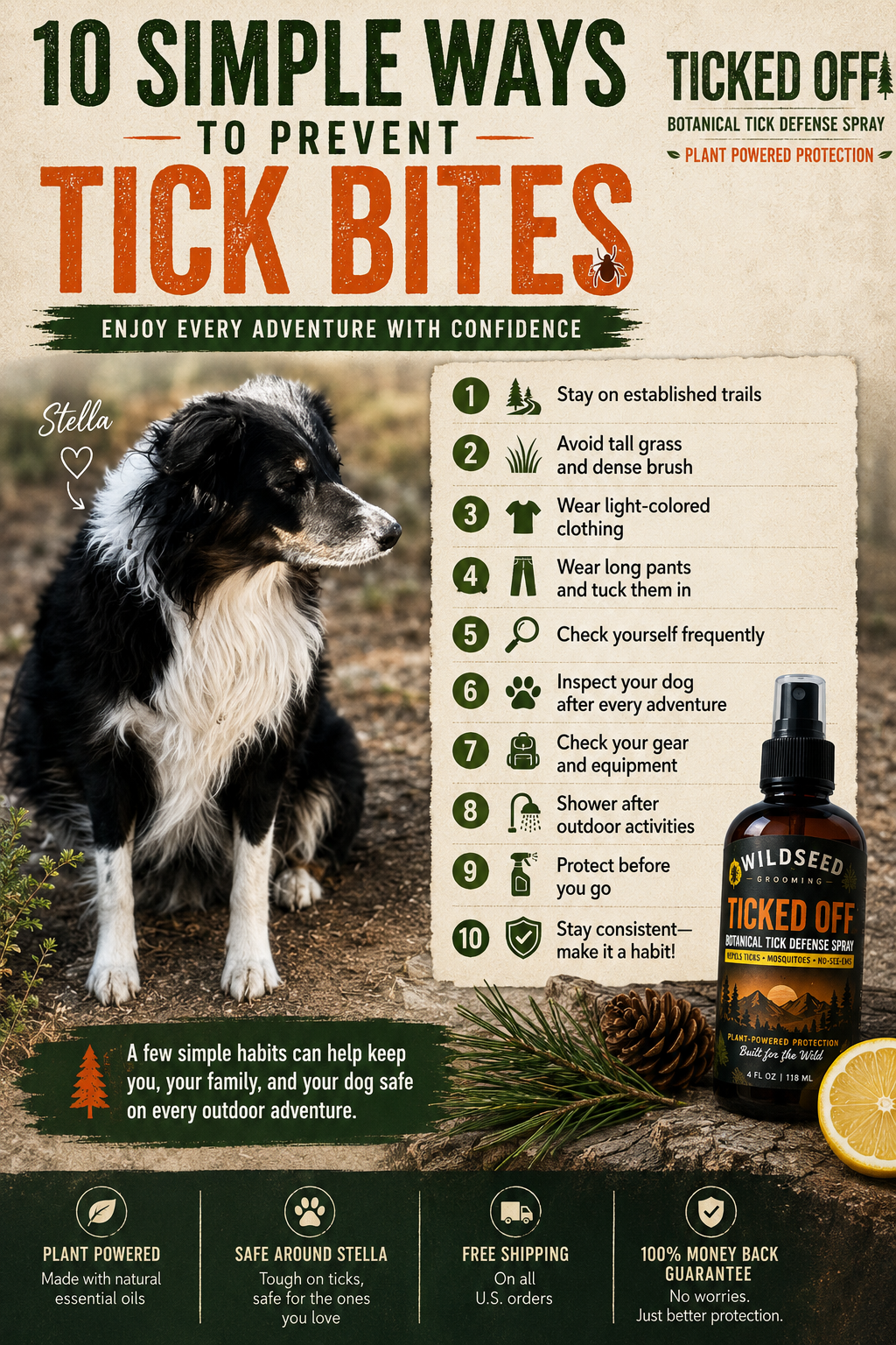 10 Simple Ways To Prevent Tick Bites During Outdoor Adventures