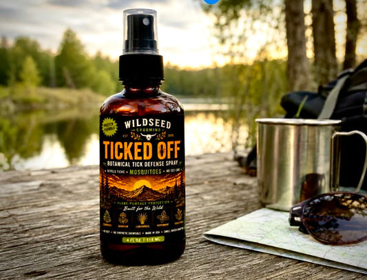 Why We Use Pure Organic Essential Oils Instead of Harsh Chemicals
